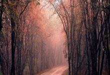 开云关于加时末段CBA季后赛焦点战，勒沃库森伤情更新，气氛紧张，纪律约束更严格的信息